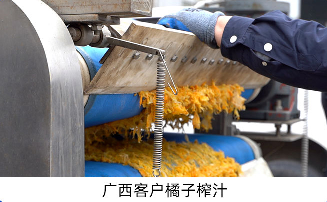 带式果蔬压榨机
