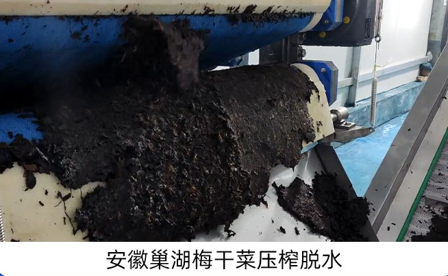 带式果蔬压榨机