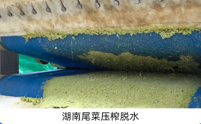 带式果蔬压榨机