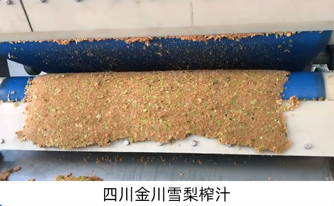 带式果蔬压榨机